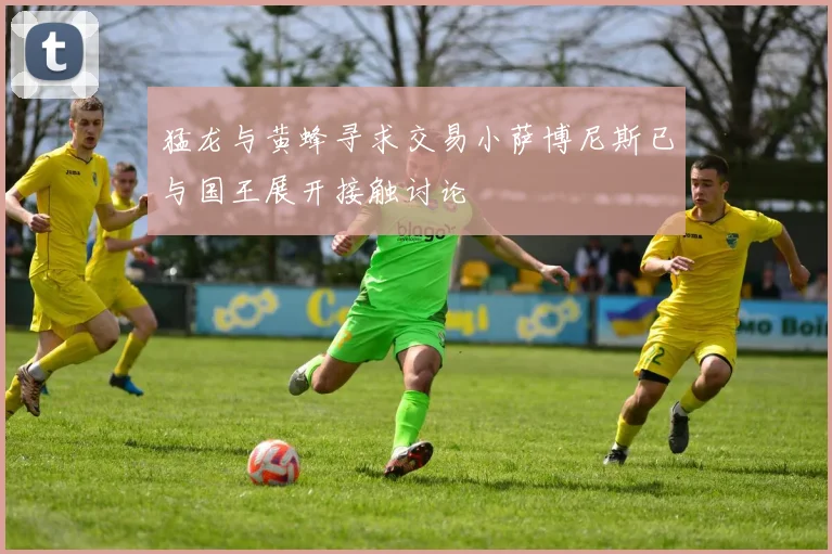猛龙与黄蜂寻求交易小萨博尼斯已与国王展开接触讨论
